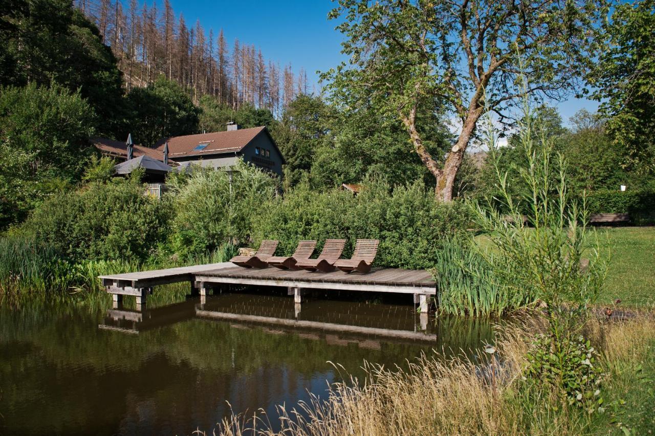Tiny House Nature 17 - Green Tiny Village Harz Osterode am Harz Exterior foto